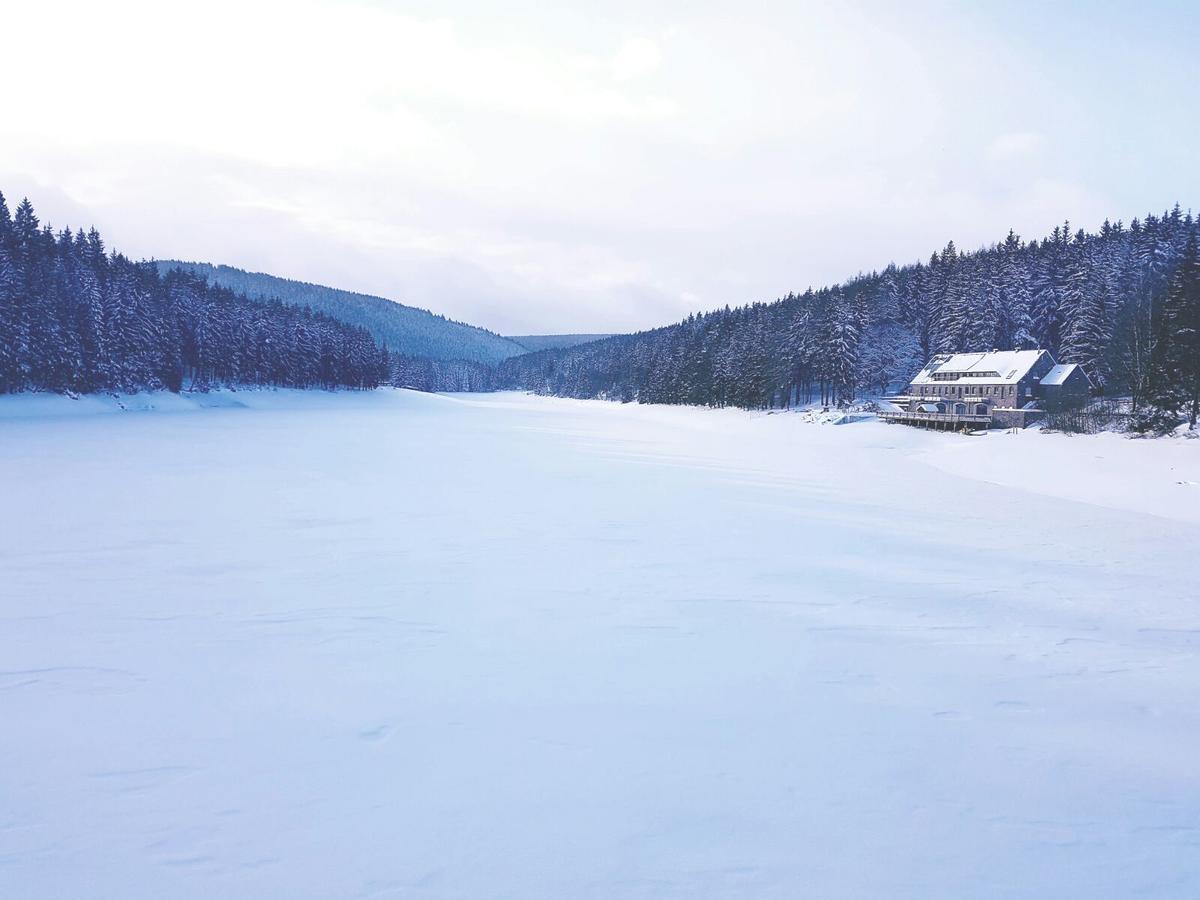 Holidayhaus Luetsche Frankenhain Екстериор снимка